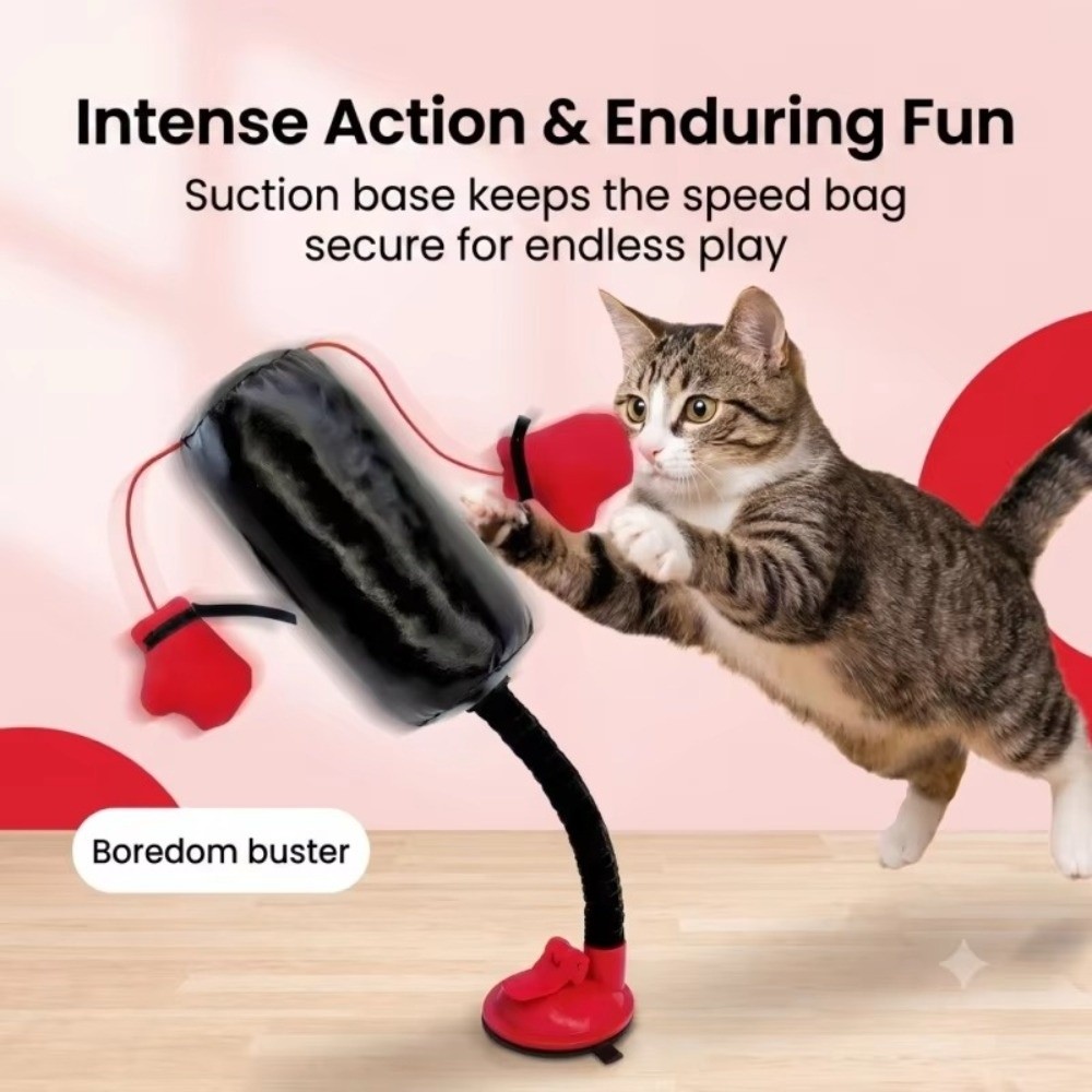 Boxing Bag Stand - Suction Cup Base Cat Boxing Toy