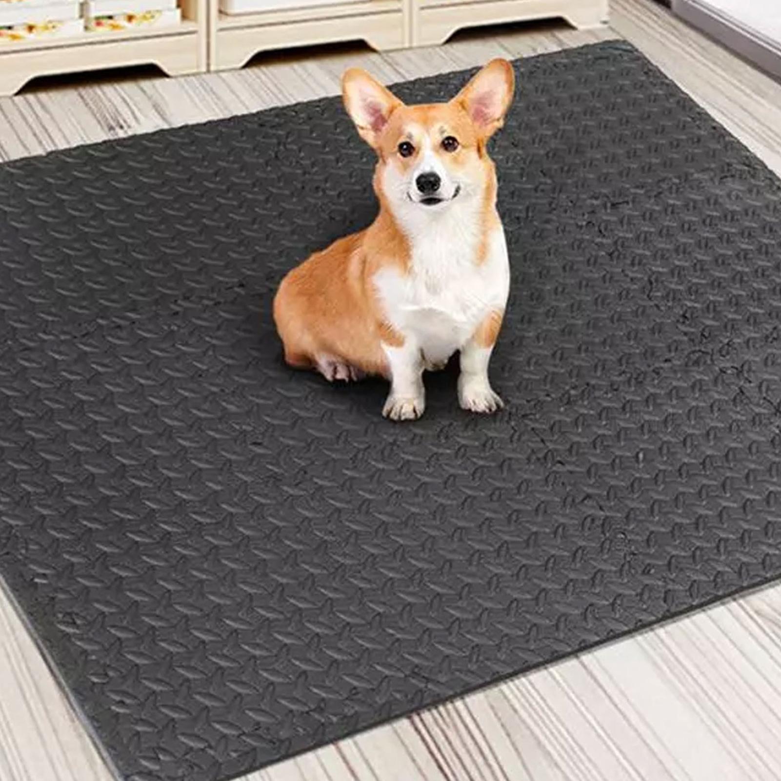 Home Gym For Toddlers - Puzzle Exercise Mat 12 Pieces Interlocking