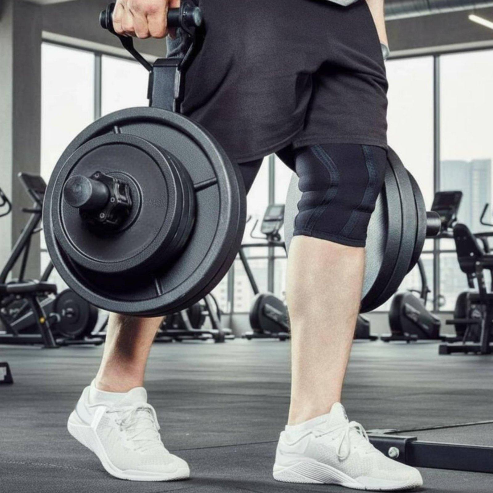 Multi-size Barbell Plate Holde - đánh giá và giá Home Gym Training