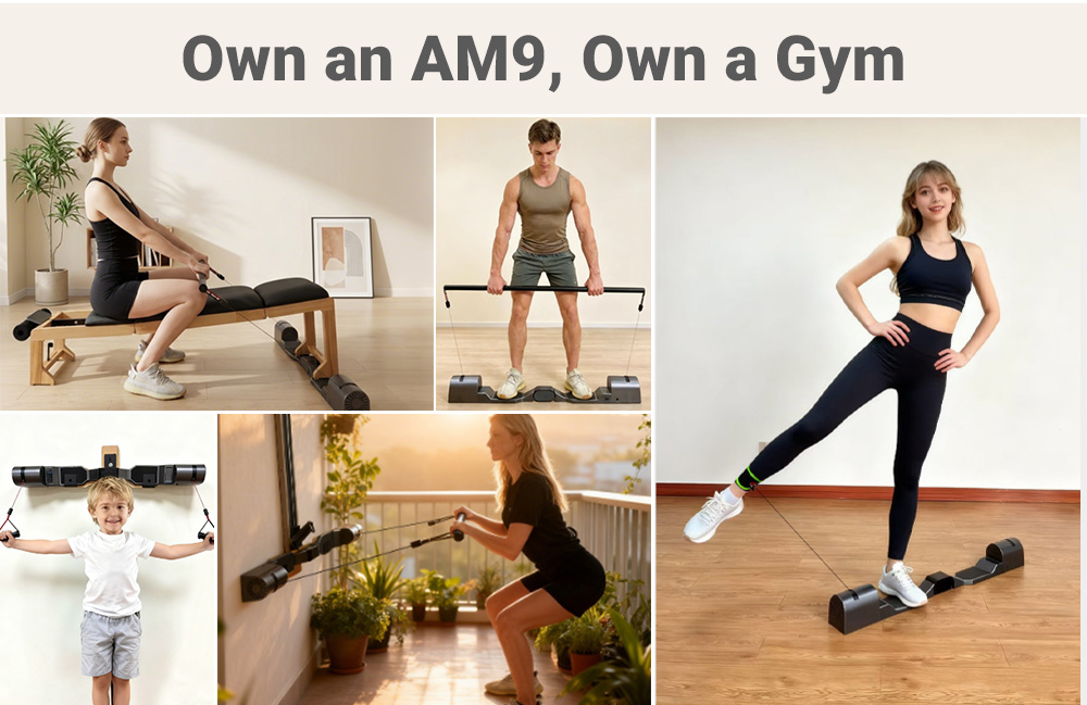AM9 Professional Home Gym Fitn - đánh giá và giá Home Gym Leg Extension