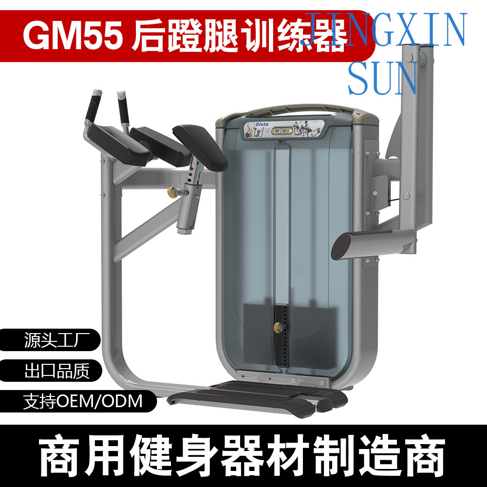 Commercial Standing Back Push  - đánh giá và giá Home Gym Leg Extension