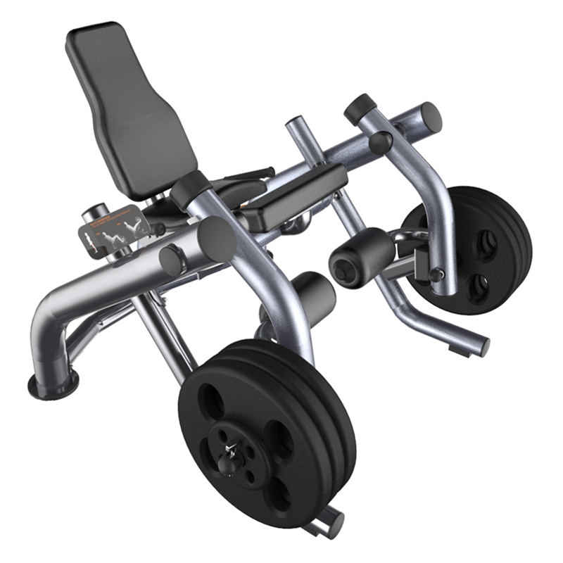 Plate Loaded Leg Extension Gym - đánh giá và giá Home Gym Leg Extension