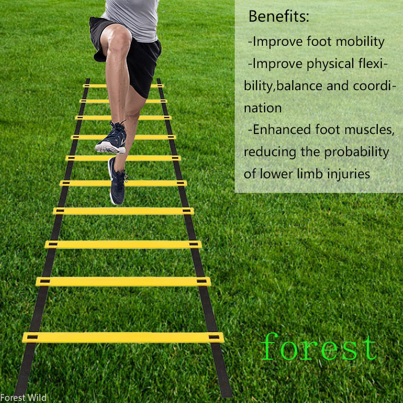 Agility Ladder Removable For S - đánh giá và giá Agility Ladder Speed
