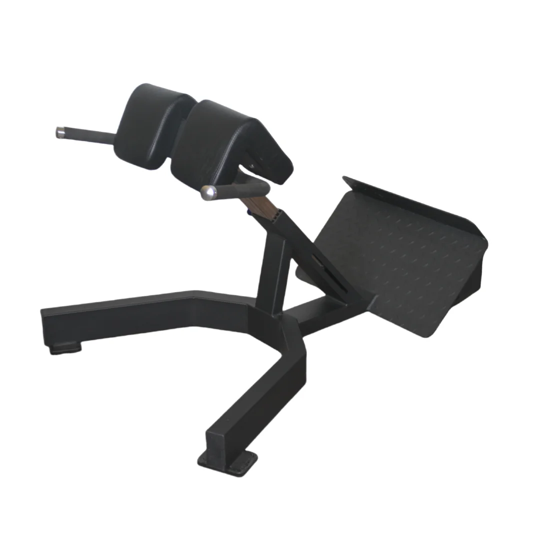 Factory Price Roman Chair Back - đánh giá và giá Home Gym Leg Extension