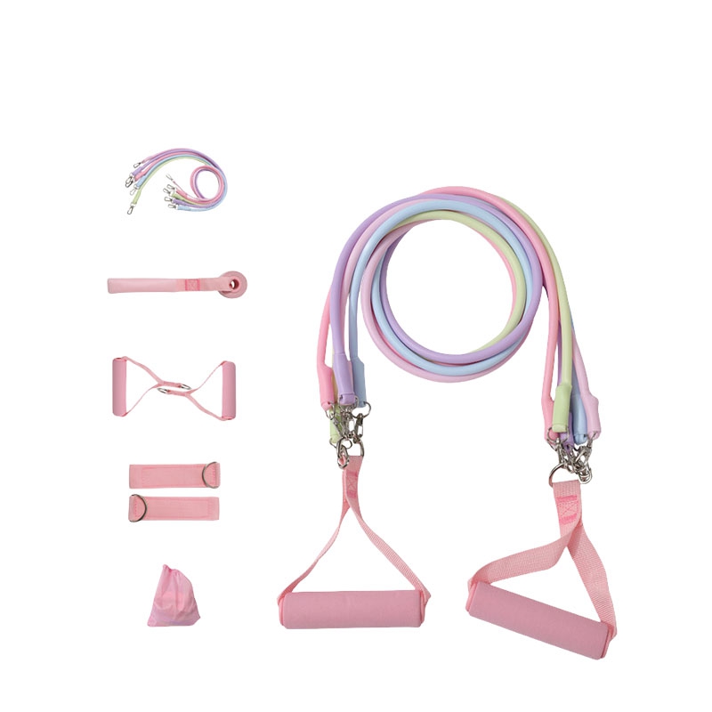 Pull up Assist Band Full Body  - đánh giá và giá Home Gym Full Setup